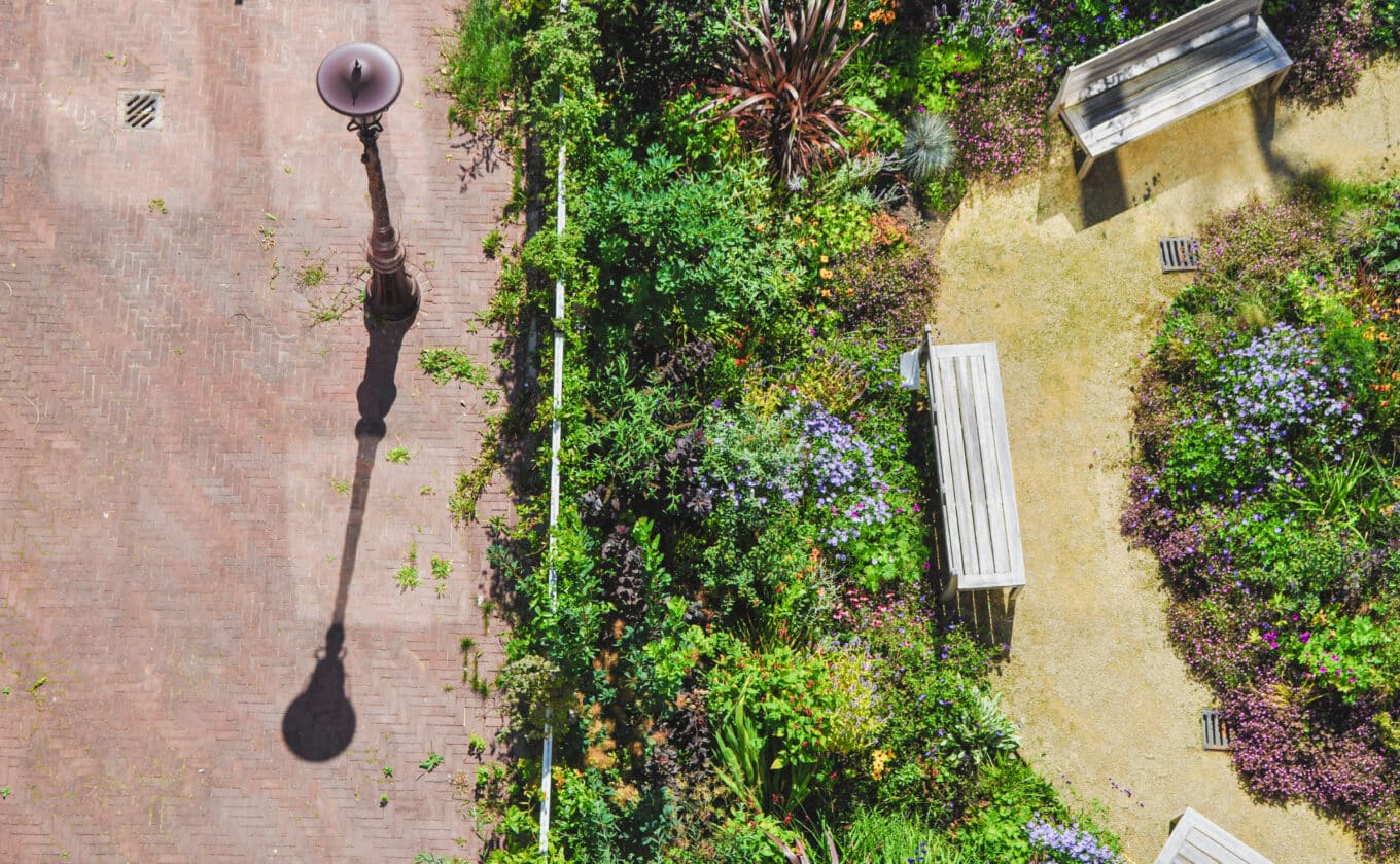 Van grijze stad naar groene stad