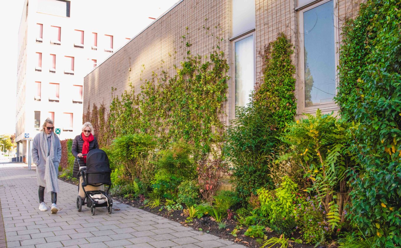 Verticaal groen wand bij Radboudumc