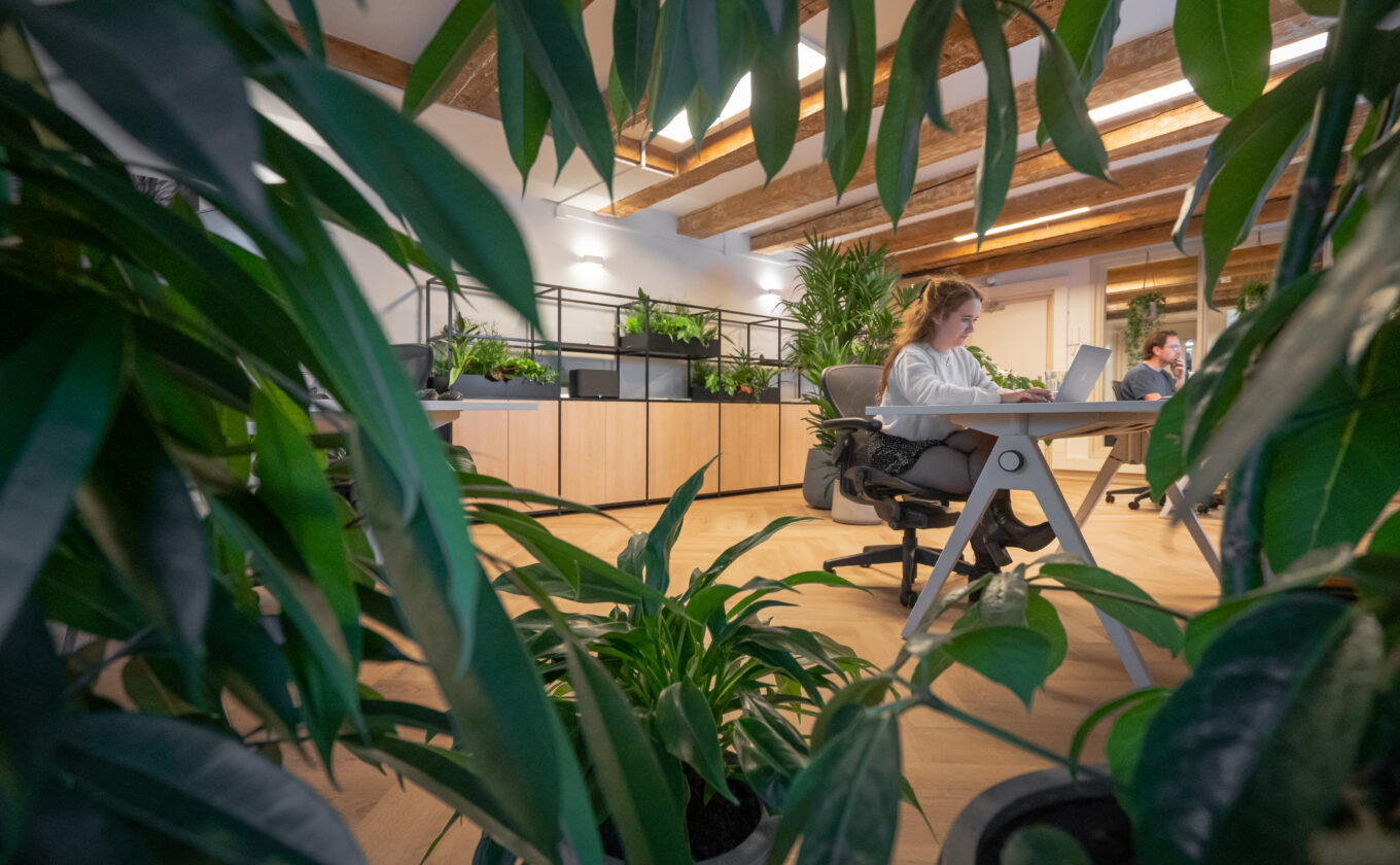 Natuurlijke beplanting in een kantoor, zicht op persoon achter laptop door groene bladeren