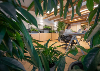 Natuurlijke beplanting in een kantoor, zicht op persoon achter laptop door groene bladeren