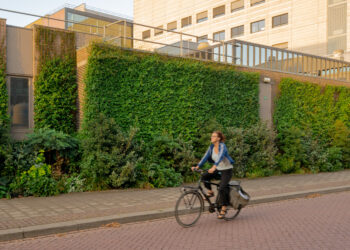 RadboudUMC geveltuin en zelfhechtende klimpanten