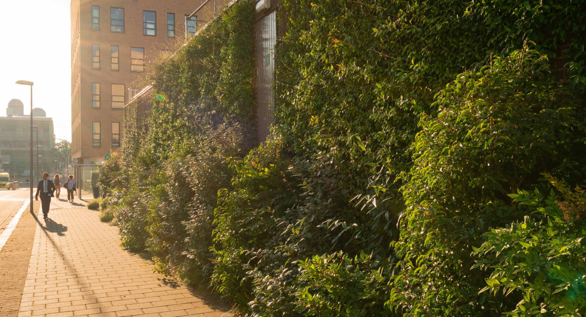 groene wand / vertikale wand bij Radboudumc Nijmegen