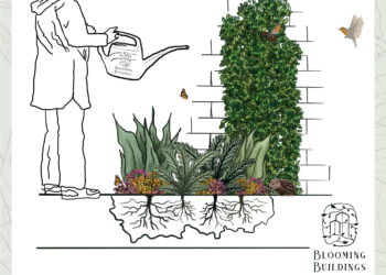 Biodiversiteit 5b's infographic