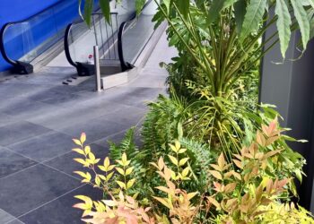Entrree winkelcentrum met beplanting