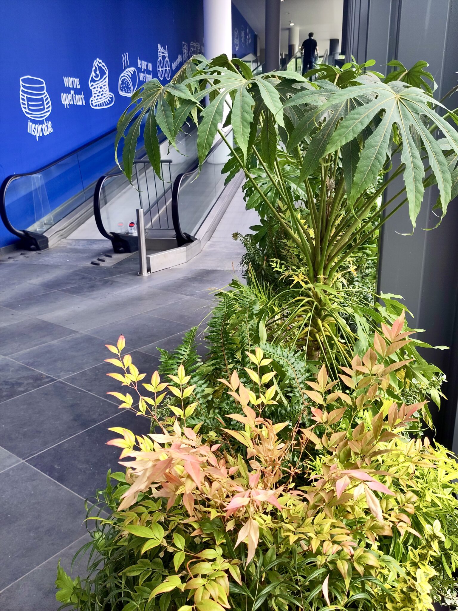 Entrree winkelcentrum met beplanting