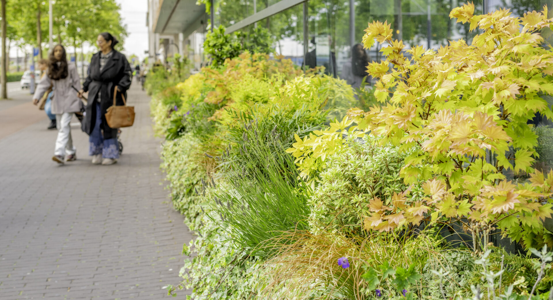 Groen is het nieuwe goud - beplanting bij Winkelcentrum IJburg