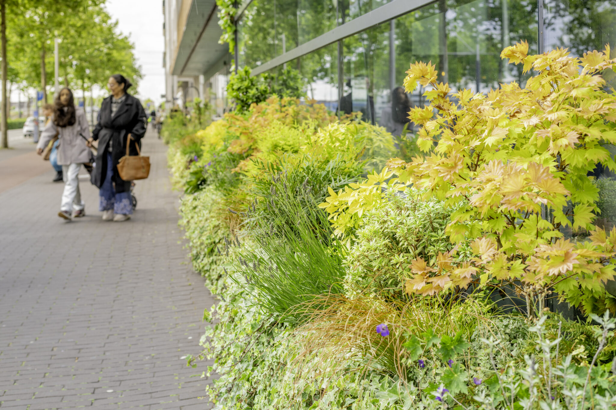 Groen is het nieuwe goud - beplanting bij Winkelcentrum IJburg